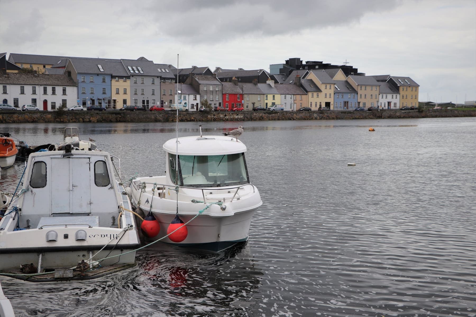 Galway Docks